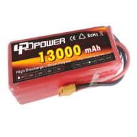 >lpd 13000MAH Lithium battery customized professional service 